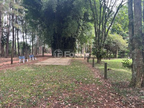 Image 58 - 304285