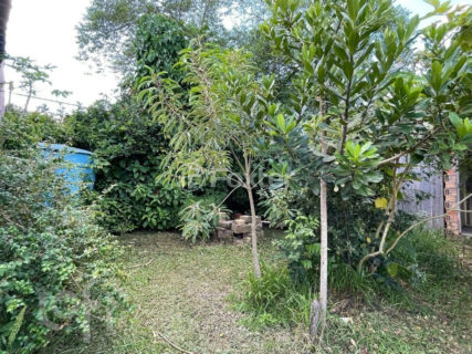 Image 15 - 304764