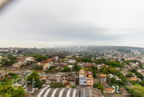 Image 38 - 304914