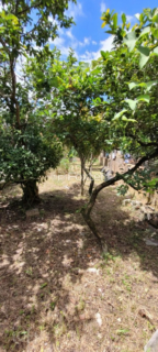 Image 8 - 304936