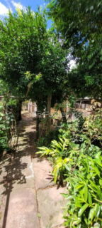 Image 6 - 304936