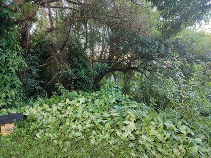 Image 2 - 305177