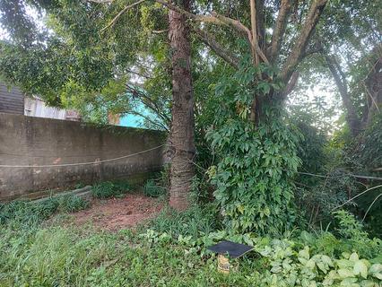 Image 0 - 305177