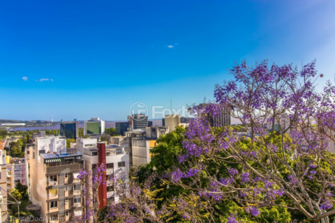 Image 7 - 305261