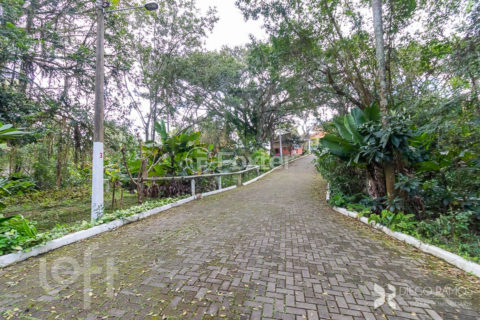 Image 7 - 305453