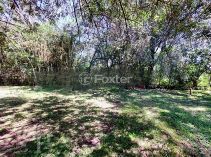 Image 35 - 305619