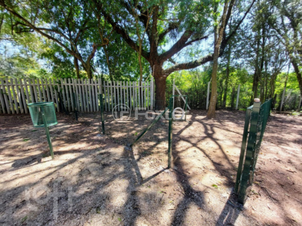 Image 31 - 305619