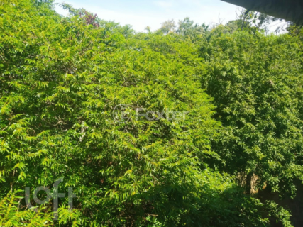 Image 12 - 305911