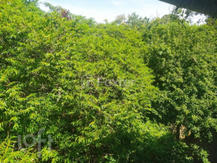 Image 14 - 305911