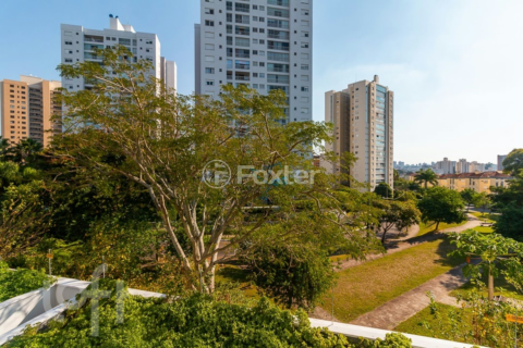 Image 17 - 306041