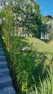 Image 12 - 306383