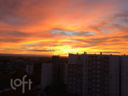 Image 10 - 306481