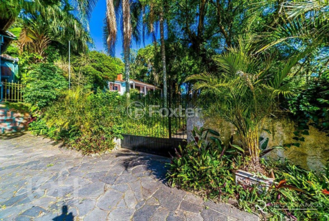 Image 42 - 306556