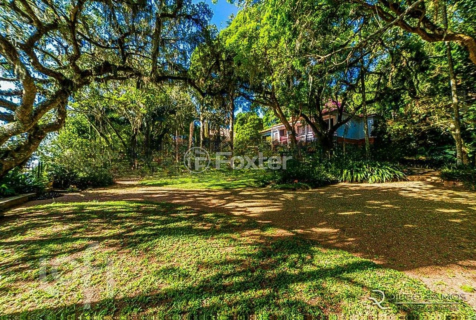 Image 32 - 306556