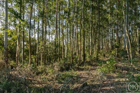 Image 5 - 306835