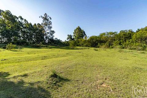 Image 4 - 306835