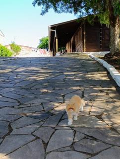 Image 14 - 307728