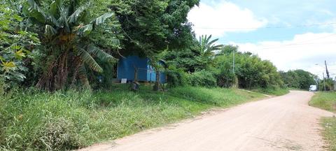 Image 10 - 308117