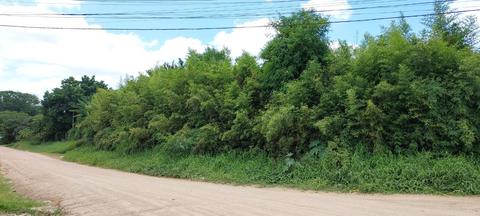 Image 6 - 308117