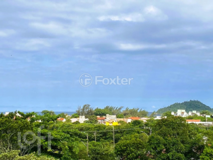 Image 10 - 308355