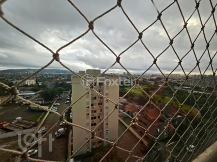 Image 6 - 308467