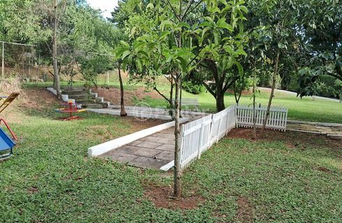Image 26 - 308552