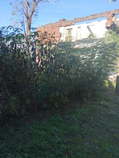 Image 3 - 308738