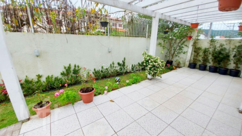 Image 16 - 308755