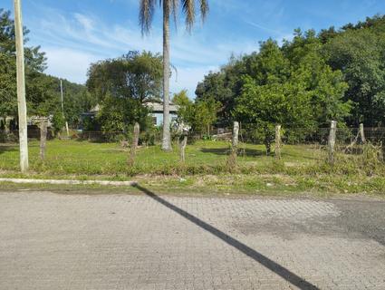 Image 6 - 309334
