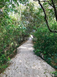 Image 56 - 310204