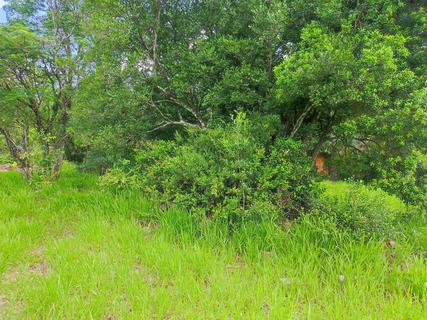 Image 9 - 310754