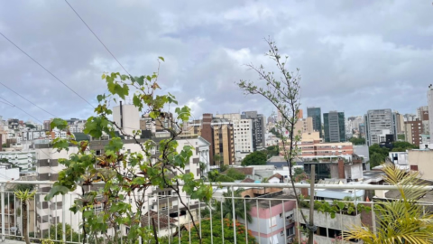 Image 34 - 311322
