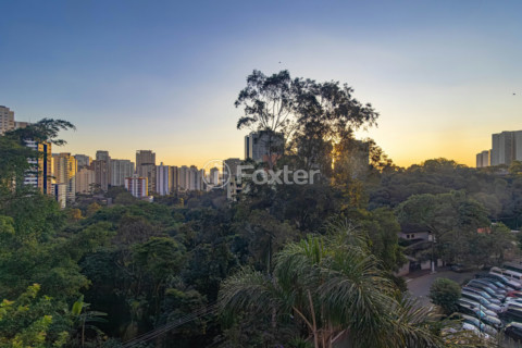 Image 6 - 313181