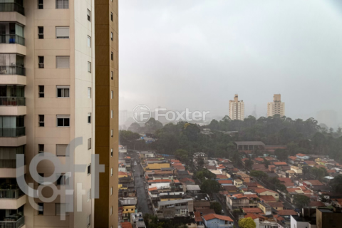 Image 16 - 313447