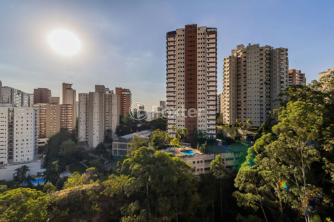 Image 24 - 313869