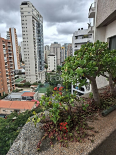 Image 6 - 315264