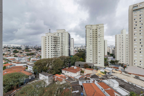 Image 8 - 315266