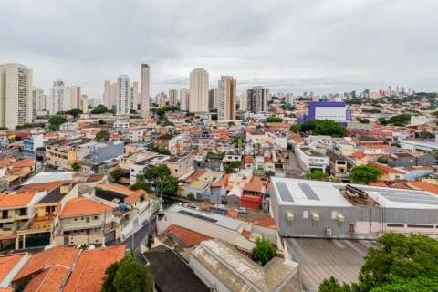 Image 12 - 315545