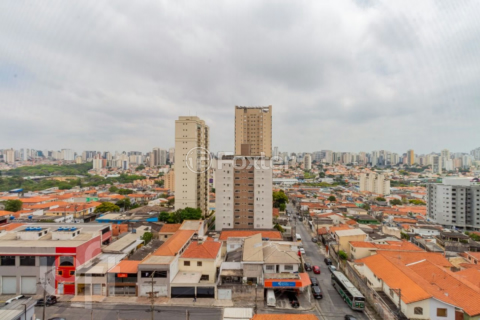 Image 31 - 318573