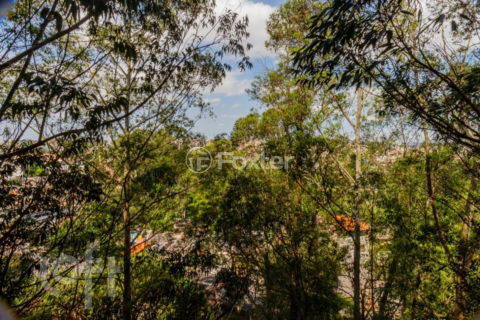 Image 16 - 319338