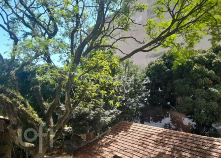 Image 16 - 320381