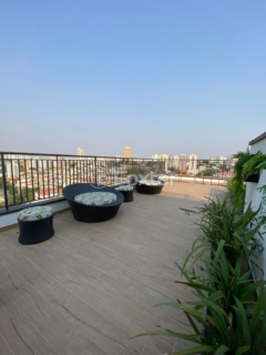 Image 11 - 325887