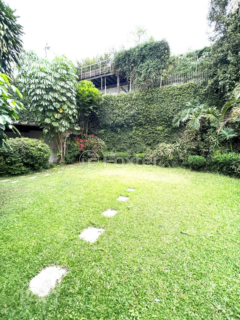 Image 20 - 328533