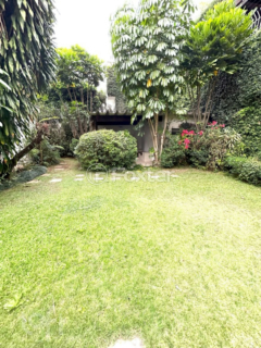 Image 6 - 328533