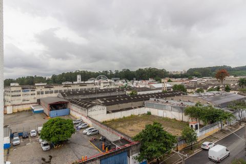 Image 4 - 329229