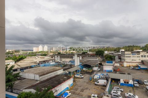 Image 30 - 329229