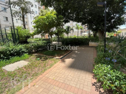 Image 43 - 331345