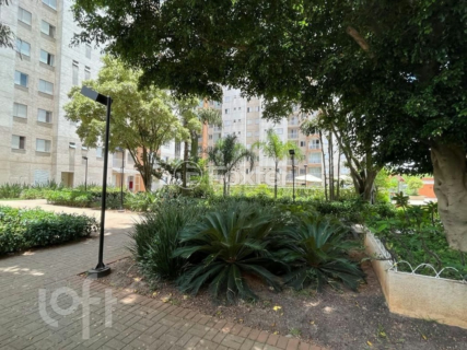 Image 45 - 331345