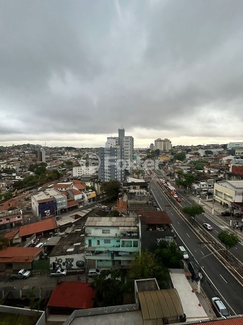 Image 8 - 334491