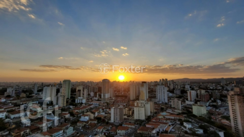 Image 13 - 335072